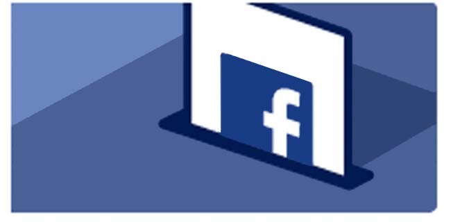 Urne aperte su Facebook: si votano le nuove norme