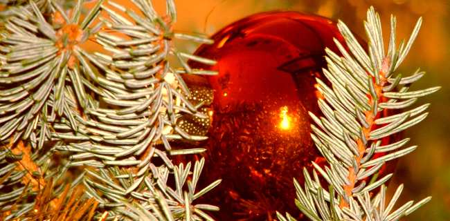 Buon Natale. Perché ci crediamo