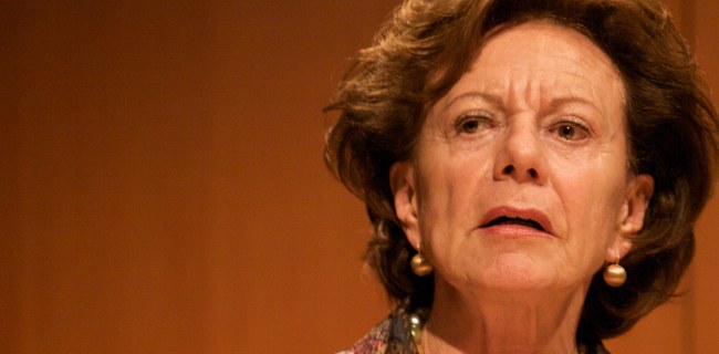 Neelie Kroes: italiani, salvate l'Agenda Digitale