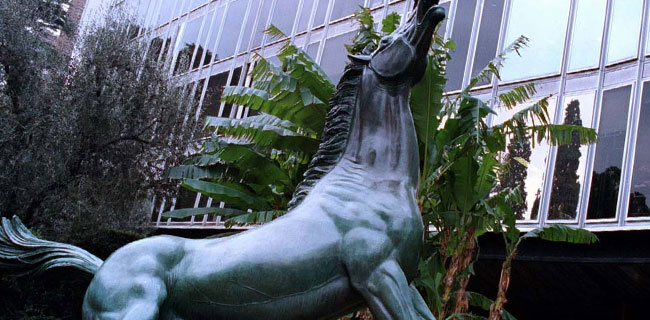 RAI oscurata da Telecupole, pasticcio in Piemonte