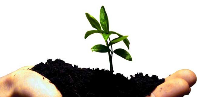 Più di 300 le startup italiane: poche o tante?