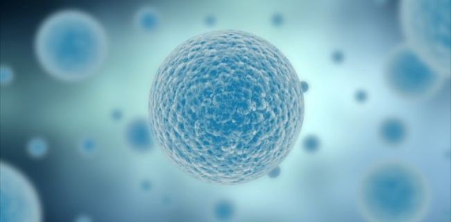 Da Yale un dispositivo che replica le cellule