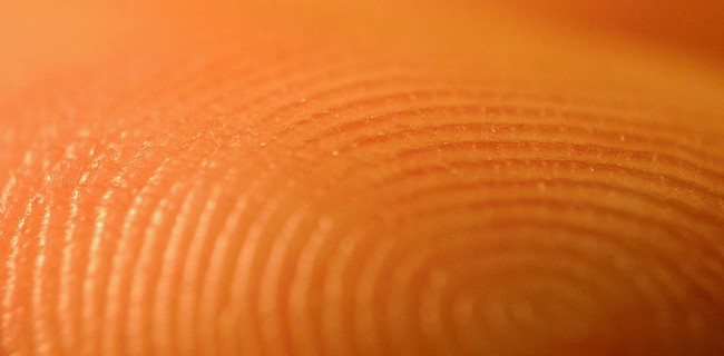 KGI: iPhone 5S riconoscerà le impronte digitali