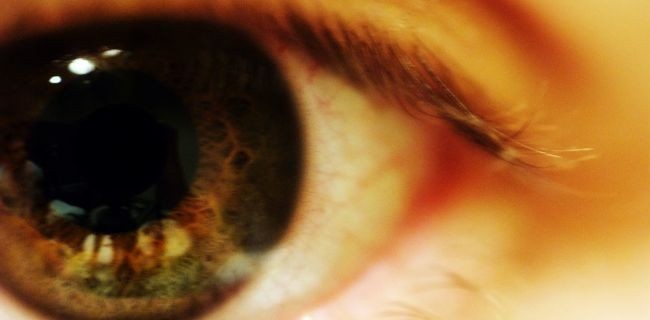Dagli USA arriva il primo occhio bionico