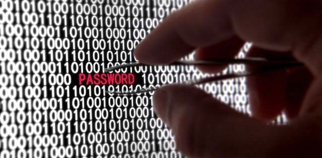 Microsoft: gli utenti non proteggono i dati online