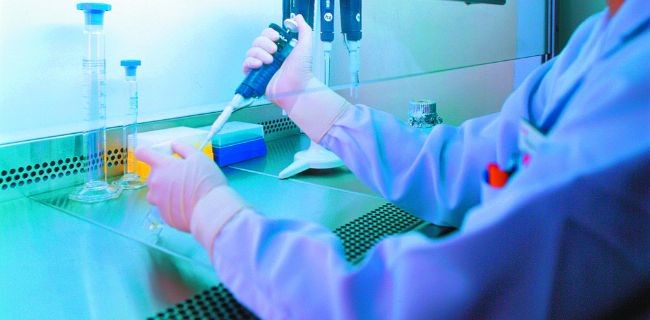 Staminali, le stampanti 3D creeranno organi