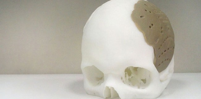 Le stampanti 3D potranno realizzare anche organi