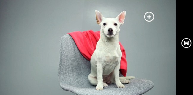 Nokia Cinemagraph anche sui vecchi Lumia