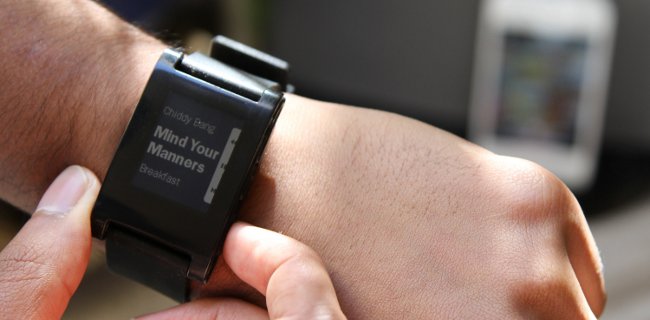 Problemi per Pebble: muore improvvisamente