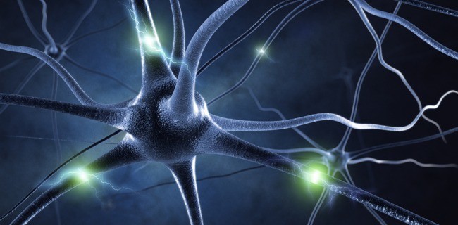 Google porta l'IA nelle ricerche online