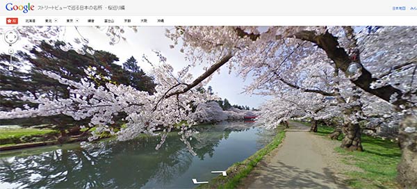 I fiori di ciliegio giapponesi festeggiano l'arrivo della primavera su Google Street View