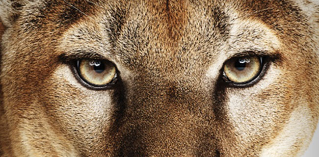 Apple rilascia OS X 10.8.3