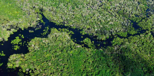 Domini: Perù e Brasile contro .amazon