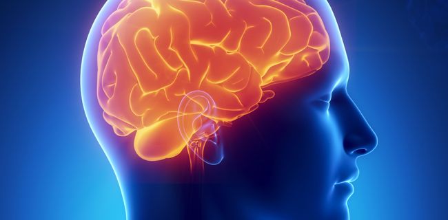 Un chip aiuterà la memoria a lungo termine