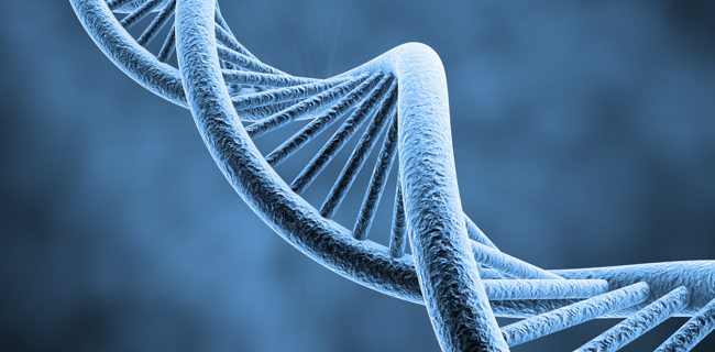 Transistor biologici per i computer di domani