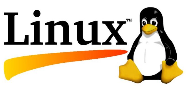 Linus Torvalds annuncia il kernel 3.9 di Linux