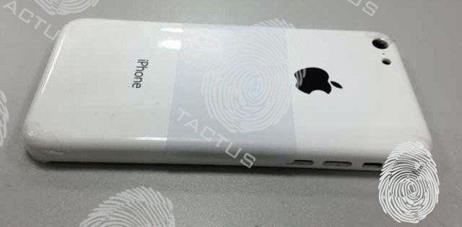 iPhone low cost, online la foto della scocca
