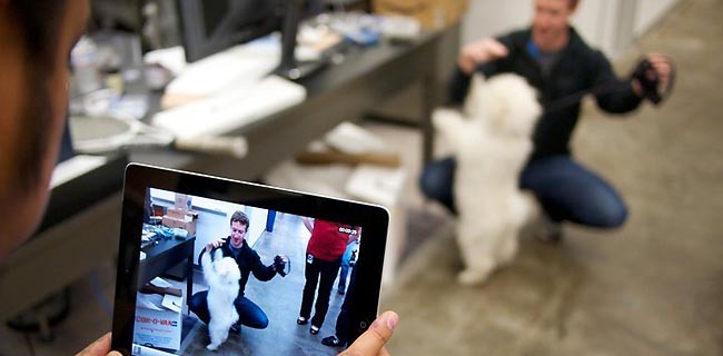 Facebook: uno ogni dieci non è umano