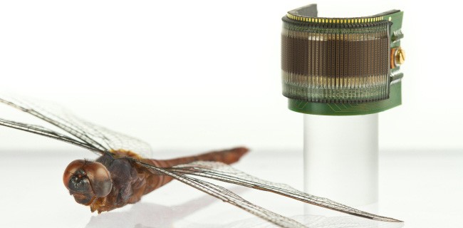 Occhi di insetti artificiali per micro droni