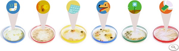 Il doodle animato e interattivo che oggi Google dedica a Julius Richard Petri