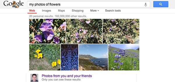 Le fotografie caricate sul social network Google+ compaiono nei risultati delle ricerche