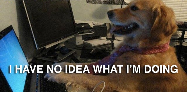 Fenomenologia del politico e del VIP su Twitter