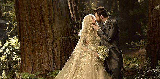 Il matrimonio e lo scempio di Sean Parker