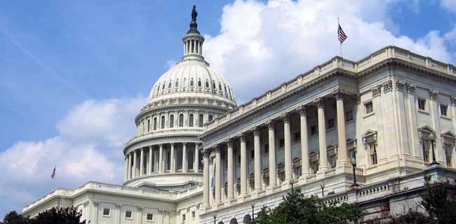 Appello dei big della Rete al governo Usa