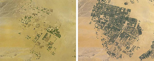 Arabia Saudita, i campi agricoli prima (sinistra) e dopo l'aggiornamento) destra