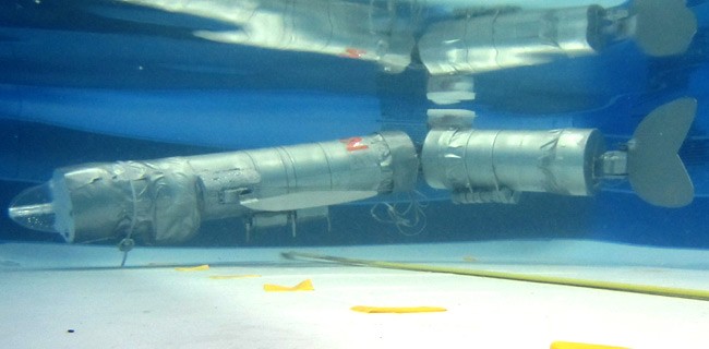 RoboCarp, il pesce robot