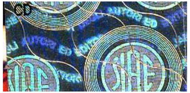 Equo Compenso rincara, la SIAE ringrazia