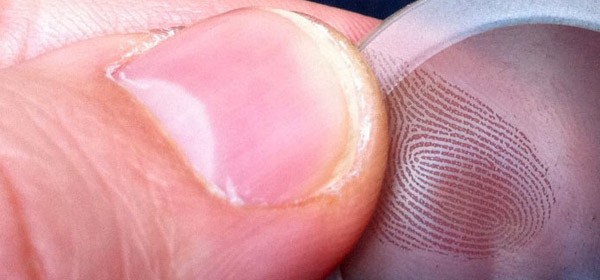 L'impronta digitale rilevata dalla piastra in fibra ottica di Fiberio