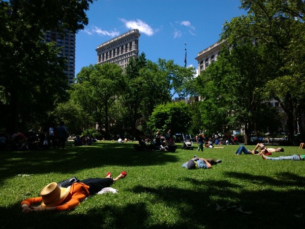 Fotografia all'aperto scattata con il Lumia 1020