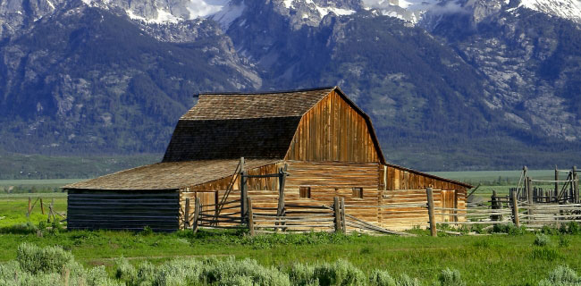 Decodifica JPG più veloce con Internet Explorer 11