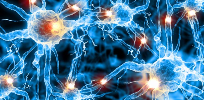 Deep learning, l'intelligenza artificiale di Facebook