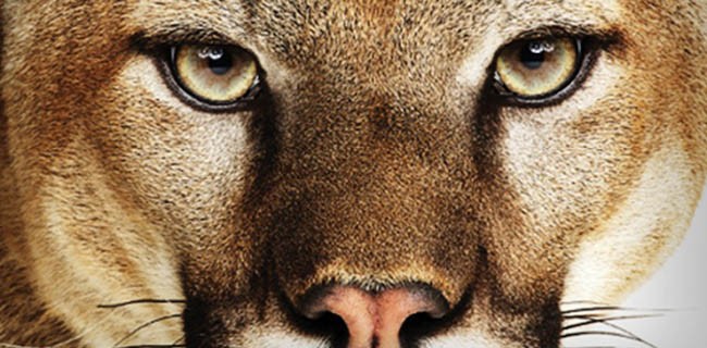 OS X 10.8.5: risoluzione dei bug e WiFi più veloce