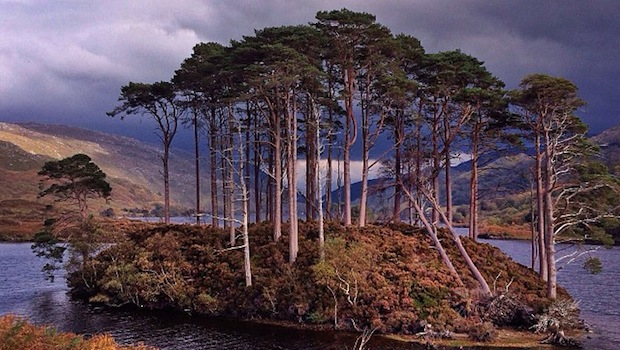 iPhone 5s, la fotocamera da 8 MP che piace al National Geographic