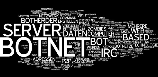 Botnet Pony, rubate due milioni di password