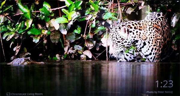 Uno degli sfondi per la homescreen di Chromecast inclusi nell'aggiornamento 14651