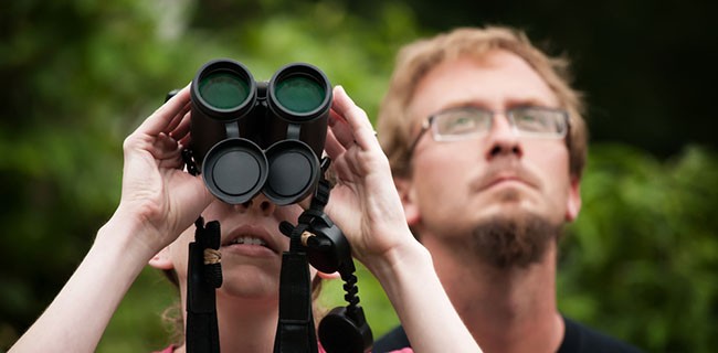 iPhone è dannoso per i volatili