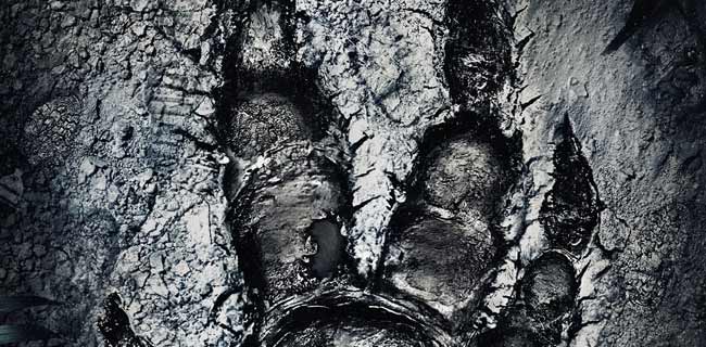 Evolve, lo sparatutto multiplayer 4 vs. 1