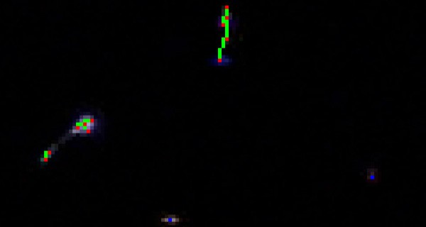 Rappresentazione grafica dei raggi gamma rilevati mediante il sensore CMOS di uno smartphone