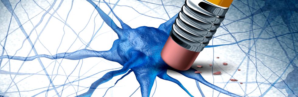 La Giornata della Memoria che verrà