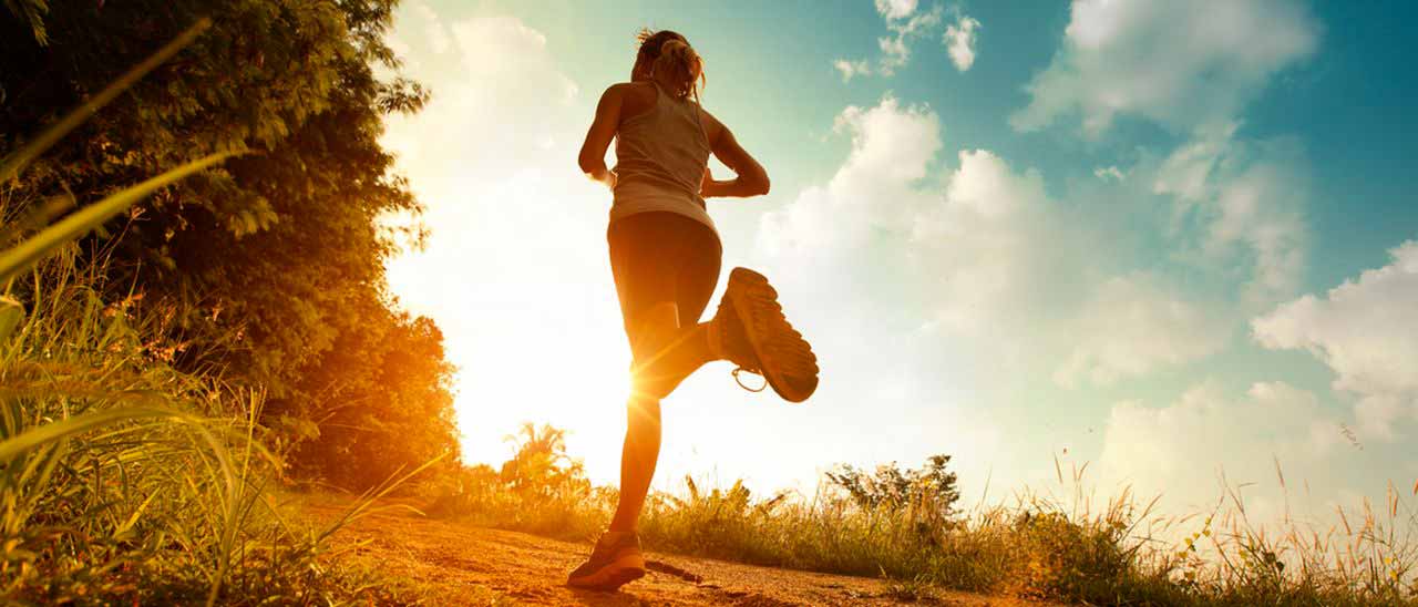 Bing Health & Fitness arriva su Windows Phone 8