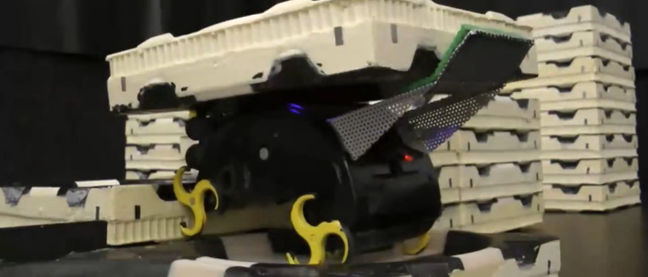 Termiti robot per costruire strutture 3D