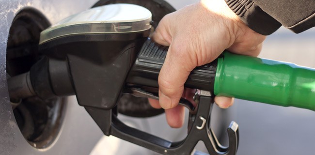 Audi e gli e-fuel, i biocarburanti del futuro