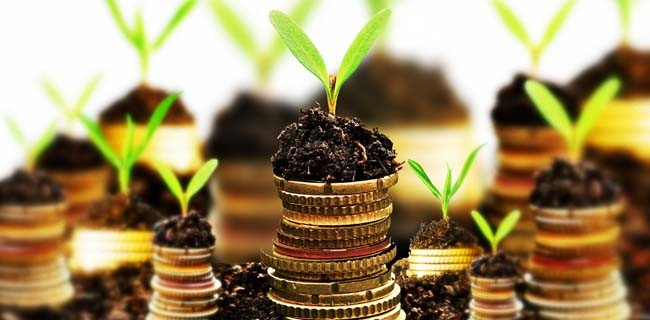 Guida ai fondi di garanzia per le startup