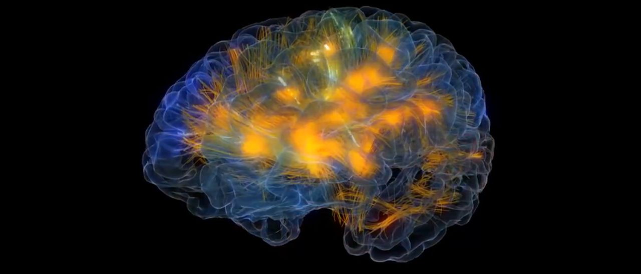 Glass Brain, lettura della mente con Oculus Rift