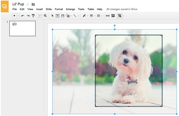 Lo strumento Ritaglia immagine introdotto oggi per le Presentazioni e i Disegni di Google Drive