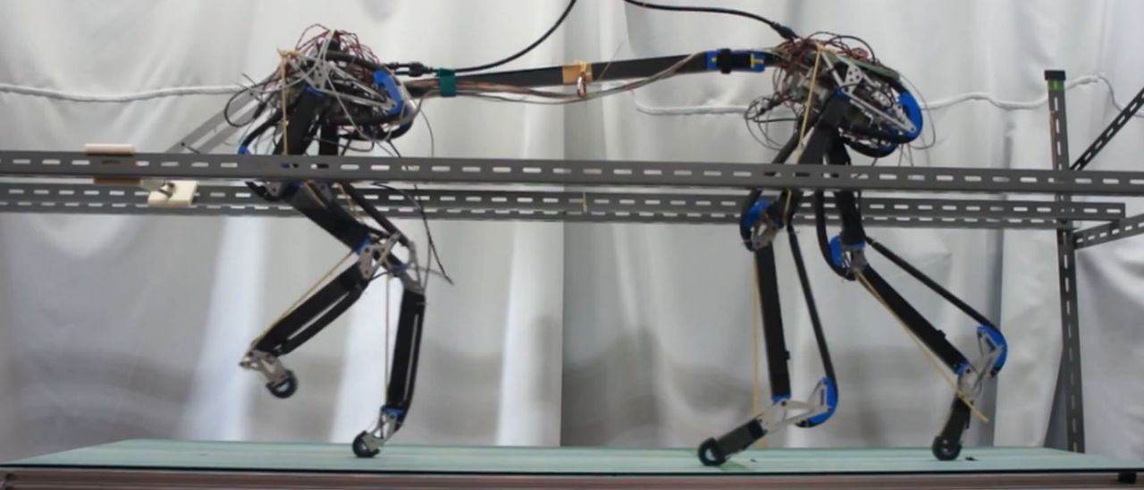 Pneupard, il leopardo ad aria compressa